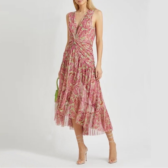 NWT Misa Los Angeles Ava Paisley Print Stretch-Tulle Midi Dress - Picture 1 of 10
